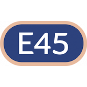 E45