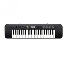 CASIO CTK-240 Piano | Standard