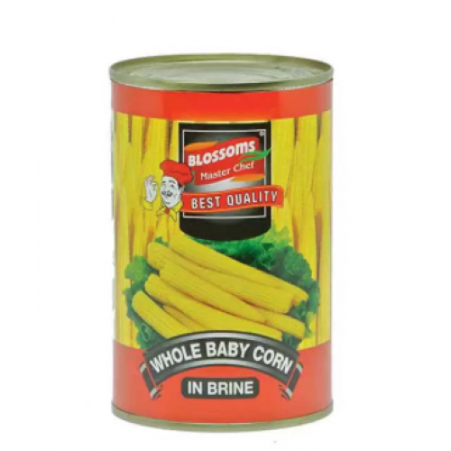 Buy Garden Fresh Whole Baby Corn 425 gm Online in Bangladesh