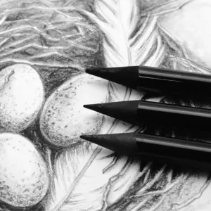 Acmeliae 03-WCP - Acmeliae Woodfree Charcoal Pencils (3 pcs Set)